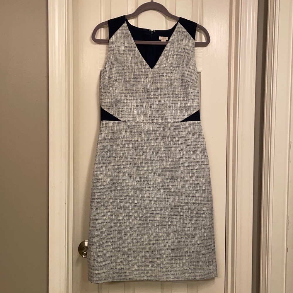 Adorable J Crew Dress